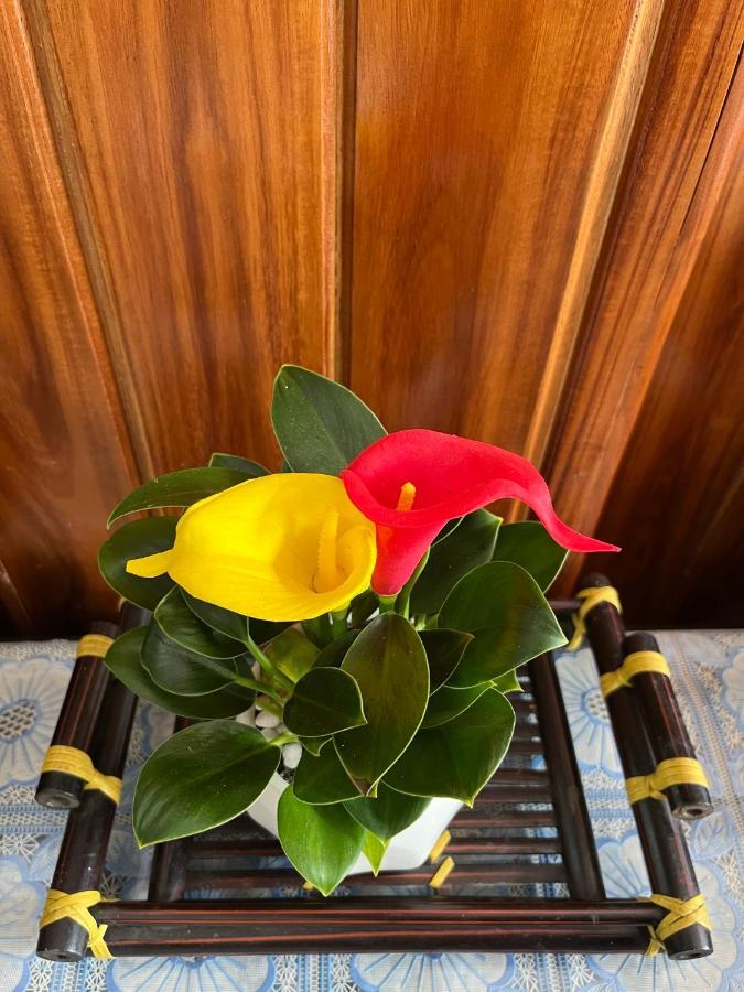 Love Homestay & Spa Quy Nhon Esterno foto